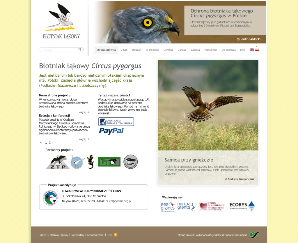 Portal www.pygargus.pl ("Błotniak łąkowy"). Dedykowana strona internetowa dla projektu ochrony ptaków, stworzona przez Vavatech.