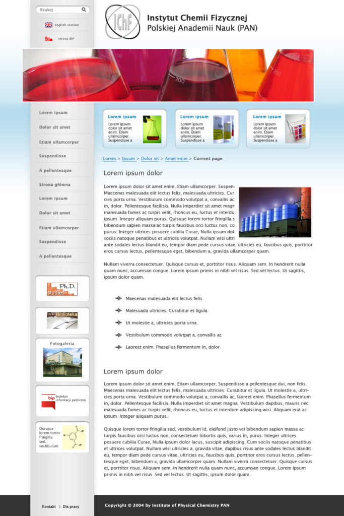 Portal Instytutu Chemii Fizycznej PAN. Dedykowany system internetowy (aplikacja webowa) stworzony przez Vavatech.