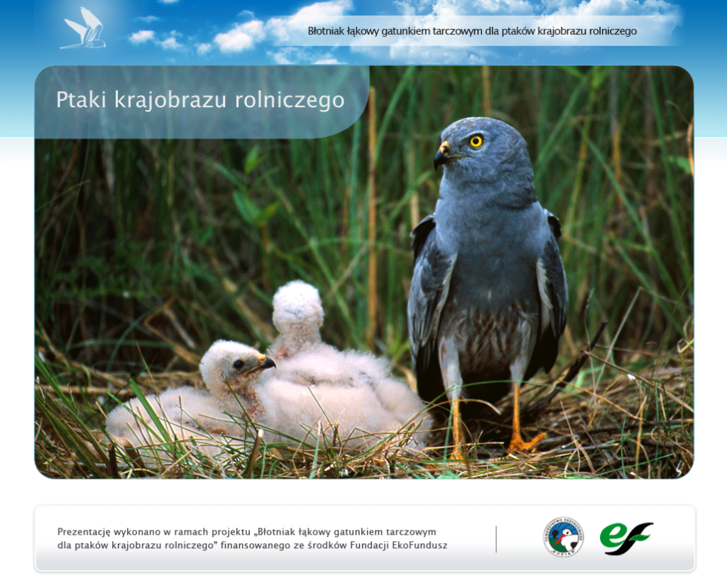 Portal "Ptaki krajobrazu rolniczego". Dedykowany system internetowy dla Towarzystwa Przyrodniczego Bocian, stworzony przez Vavatech.